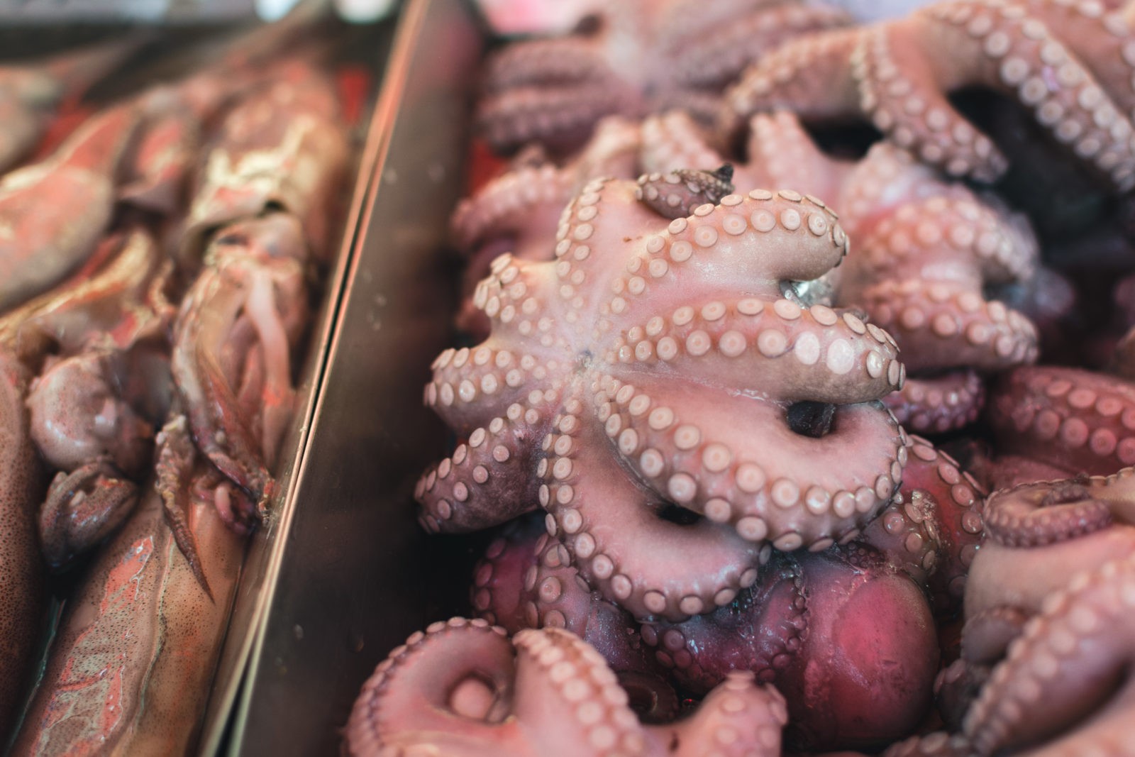 Octopus for sale at fish market